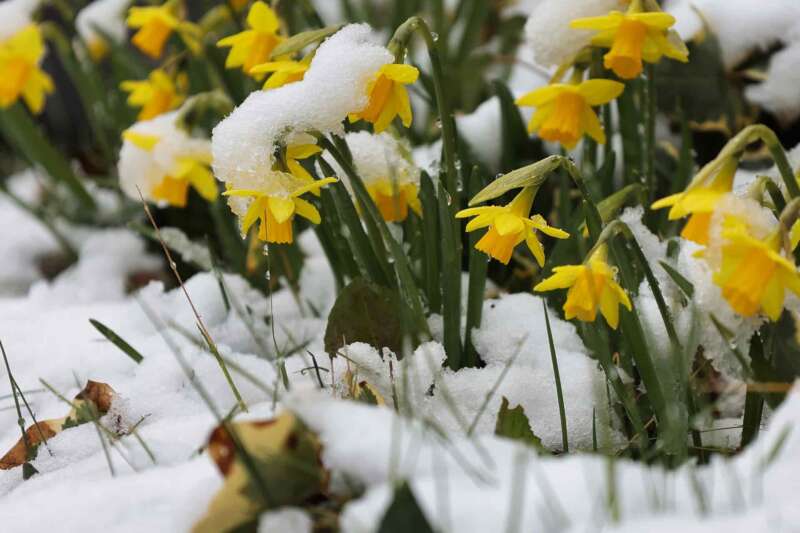 Il Meteo Di Pasqua E Pasquetta Il Ciclone Artico Gela Le Feste