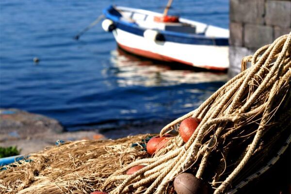 Il “Passaporto Blu” per pesca sostenibile in Cilento, la proposta per salvaguardare l’identità del pescato locale