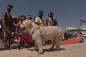 A Tripoli è strage di profughi, ma in Italia si parla del cagnolino tunisino…