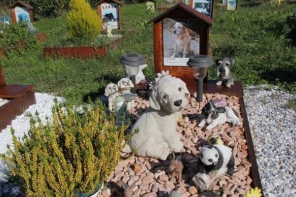 Varese avrà un cimitero per cani e gatti: “Così ricorderemo i nostri animali da compagnia”