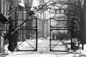 Perché il 27 gennaio si celebra il Giorno della Memoria, la commemorazione delle vittime dell’Olocausto