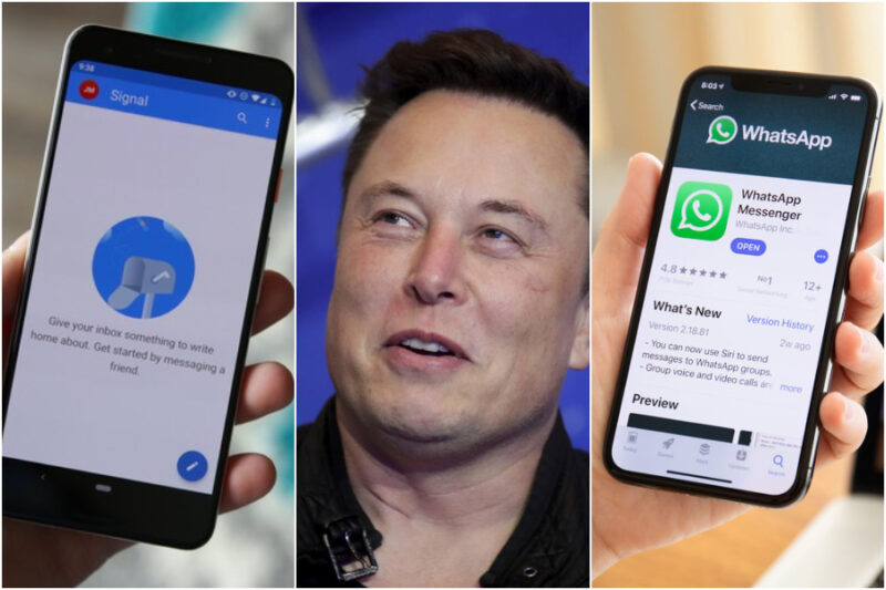 Cosè Signal Lapp Consigliata Da Elon Musk Contro Whatsapp 6004