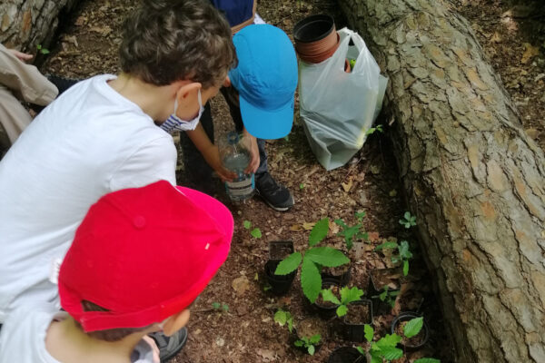 Agli Astroni ripartono le attività di salvaguardi della natura: volontari già all’opera