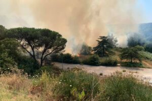 Incendio a Ponte di Nona, i residenti: “Un disastro”