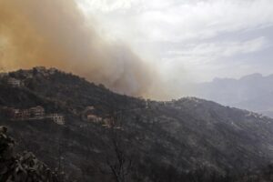 Brucia il Mediterraneo, 42 vittime degli incendi in Algeria: un morto anche in Calabria
