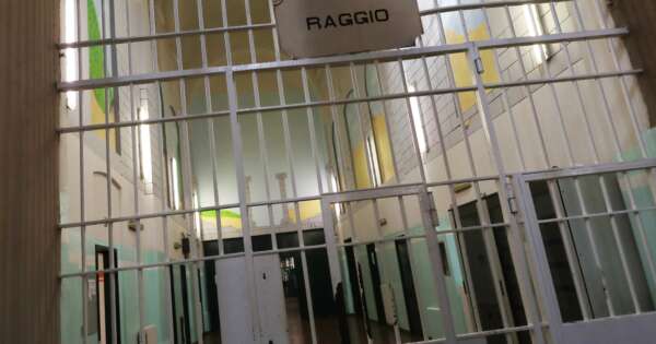 Detenuto Su Una Sedia A Rotelle Vive In Cella Con Un Topo Cara Meloni