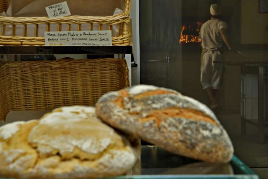 Caro bollette, se anche il pane diventa un lusso per cittadini e produttori…