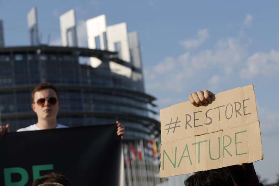 Sì alla Nature Restoration Law: “In ballo ci sono il Green Deal e la maggioranza Ursula”