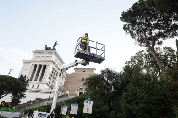 Foto Cecilia Fabiano /LaPresse   22 – 7— 2023—Roma Italia — Cronaca — Intervento sui pini caratteristici del centro di Roma  — Nella Foto : verifiche di stabilità 
July 22, 2023 —Rome Italy — News — Intervention on the characteristic pines of the center of Rome – in the Photo  : stability checks