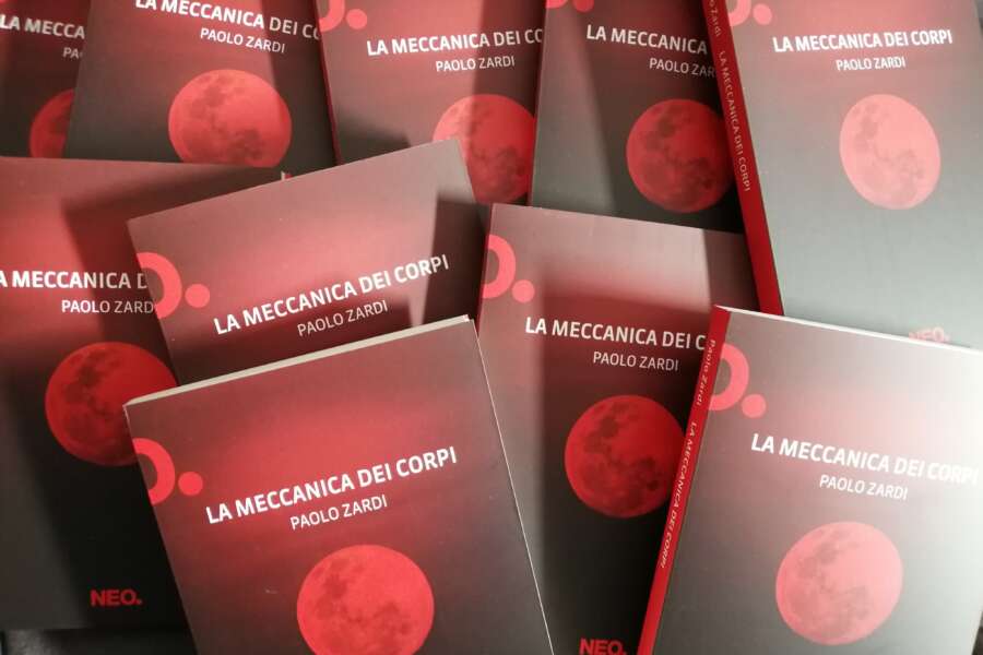 la meccanica dei corpi paolo zardi