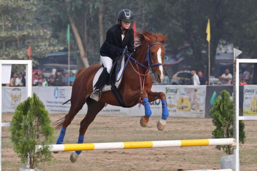 Colpita al volto dal calcio del cavallo, Arianna Giaroli muore a 13 anni: “Lo portava a mano”