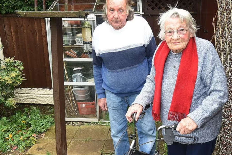 Dava da mangiare ai piccioni nel giardino di casa, maxi multa da 3mila euro per una nonnina 97enne: il tribunale “se continua dovrà lasciare la villetta”