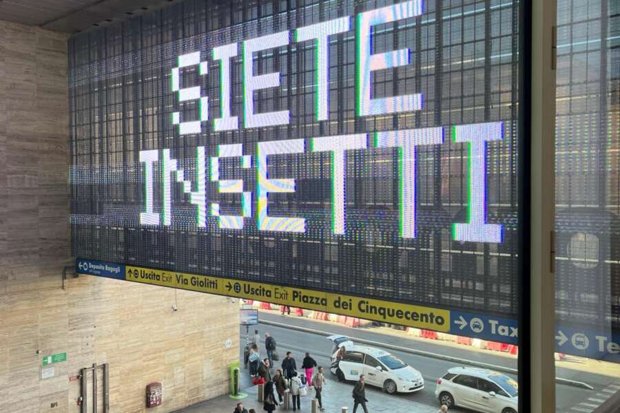 Siete insetti