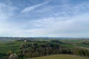 L’exploit del Timorasso, re dei bianchi del Piemonte: il consorzio alleggerisce il peso della bottiglia