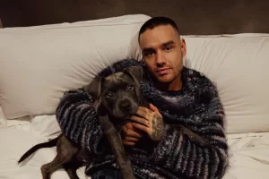 Come è morto Liam Payne, ex membro degli One Direction: “Si è lanciato dal terzo piano di un hotel a Buenos Aires”