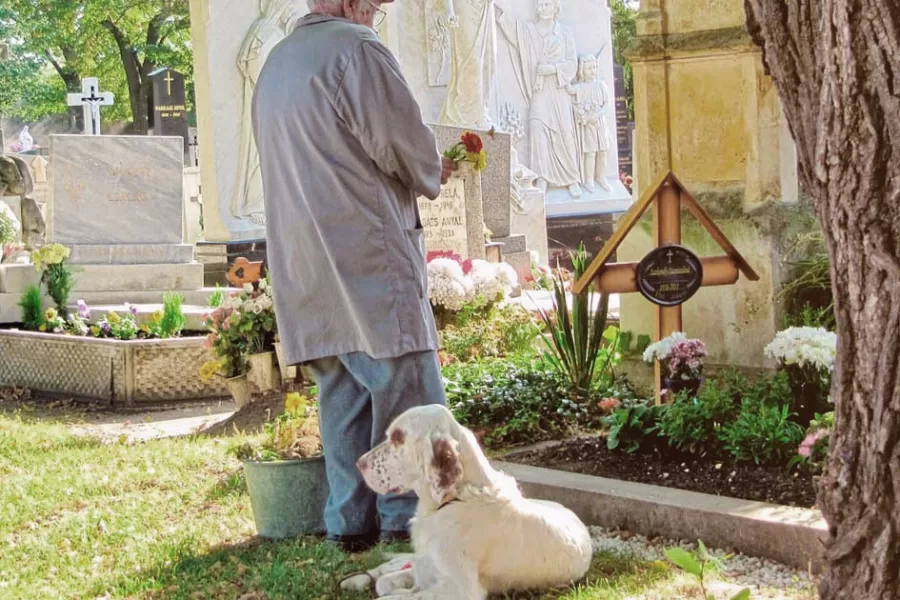 Gli animali nella tomba con i padroni, i defunti su Internet: il nuovo volto dell’aldilà è sempre più digitale